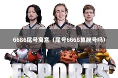 6686尾号寓意（尾号6668算靓号吗）