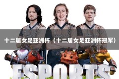 十二届女足亚洲杯（十二届女足亚洲杯冠军）